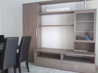 Bilocale Codogno 500