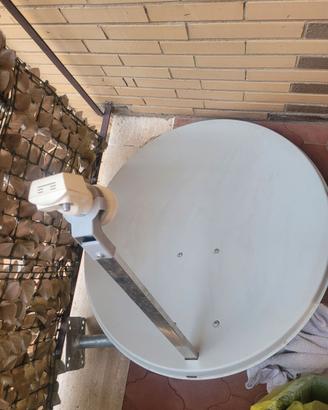 Parabola satellitare con illuminatore NUOVO