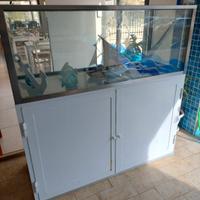 acquario marino nuovo