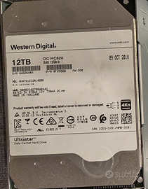 HDD SAS WD HC520 12TB