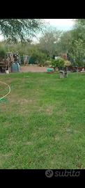 Terreno al Golfetto Muxi a pocchi passi dal mare
