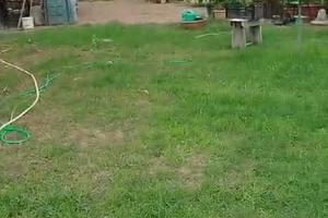 Terreno al Golfetto Muxi a pocchi passi dal mare