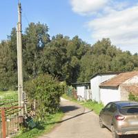 Terreno bosco per legna in riserva di caccia