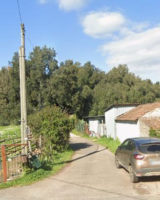 Terreno bosco per legna in riserva di caccia