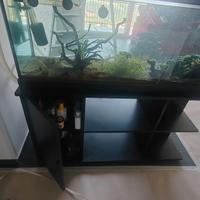 Acquario 300 lt
