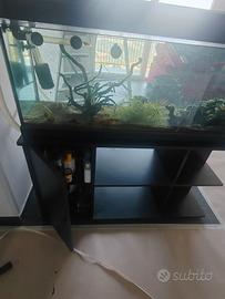 Acquario 300 lt