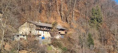 CASA SEMINDIPENDENTE A MEZZENILE