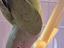 Immagine 5