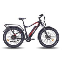 Bici elettrica FAT in PROMO