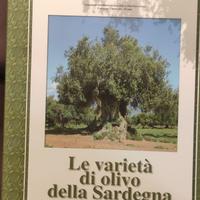 Le varietà di olivo della Sardegna