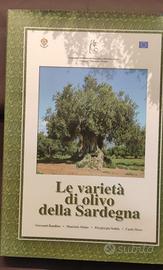 Le varietà di olivo della Sardegna