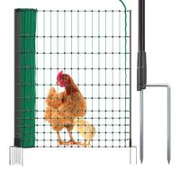 rete galline