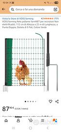 rete galline
