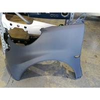 SMART 451 PARAFANGHI ANT DX E SX