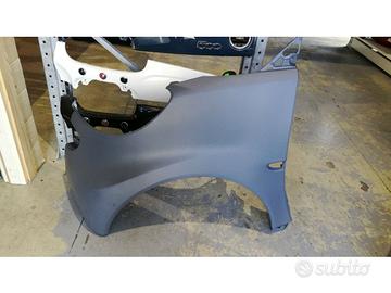 SMART 451 PARAFANGHI ANT DX E SX