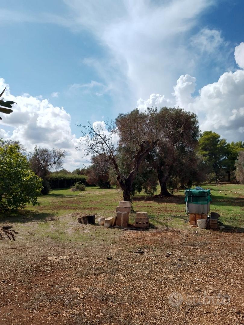 Terreno agricolo edificabile circa mq 8000 - Vista 3