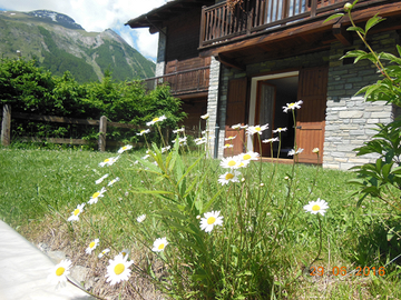 Libero DAL 24 AGOSTO last minute