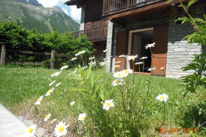 Libero DAL 24 AGOSTO last minute