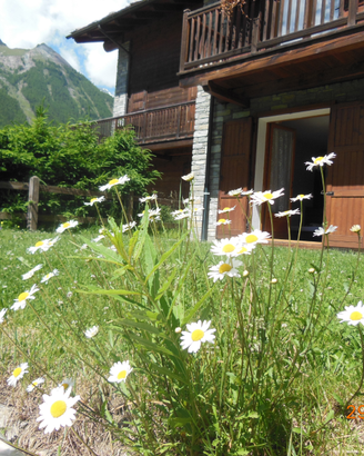 Casa vacanze Cogne ULTIMA SETTIMANA LUGLIO