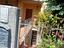 Immagine 5
