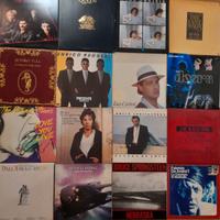 Vinile the Doors, B. Springsteen, Dalla e altri