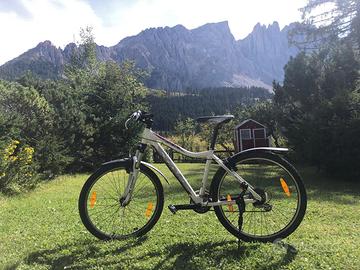 Mountain bike da ragazzo/donna
