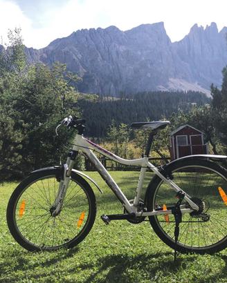 Mountain bike da ragazzo/donna