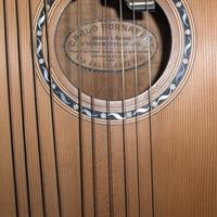 Chitarra a 10 corde Fornasari