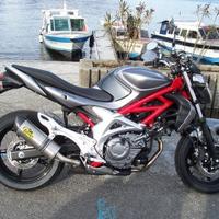 Special Titanium Roadsitalia Suzuki Gladius 650