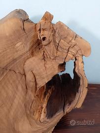 scultura in legno di ulivo