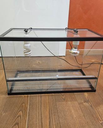 Terrario in vetro per tartaruga
