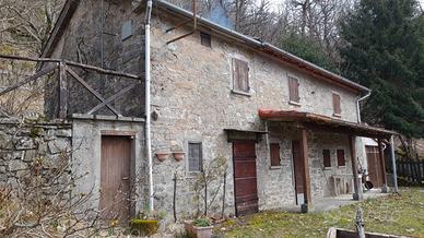 Il tuo rifugio nel bosco