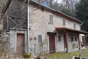 Il tuo rifugio nel bosco