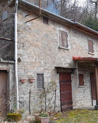 Il tuo rifugio nel bosco