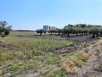 Terreno agricolo edificabile