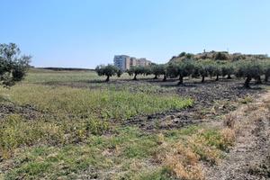 Terreno agricolo edificabile