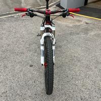 scott scale 20 carbon