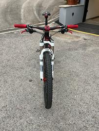 scott scale 20 carbon