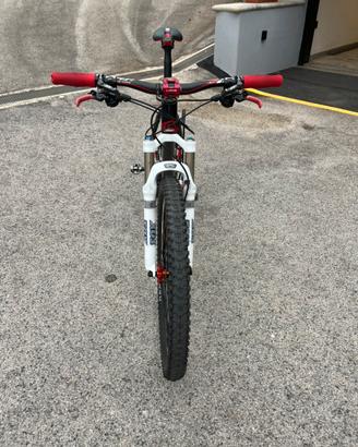 scott scale 20 carbon