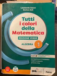 Tutti i colori della matematica E. verde Algebra 1