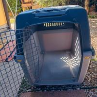 kennel 