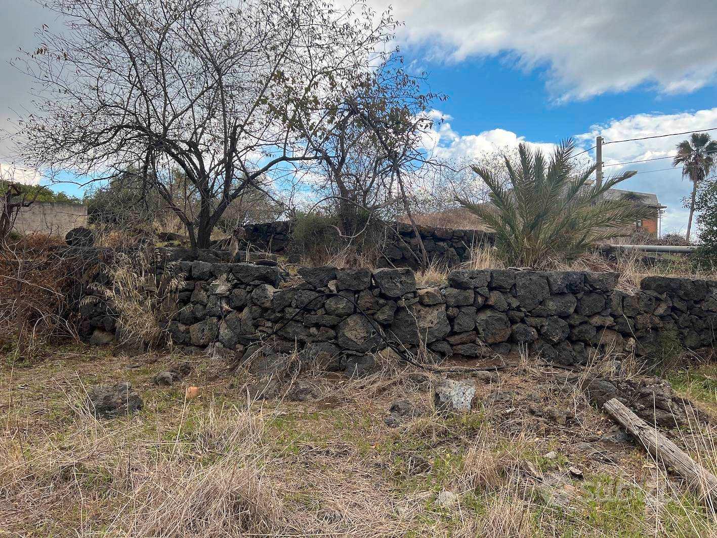 Rif.DR8| terreno agricolo acireale - Vista 5
