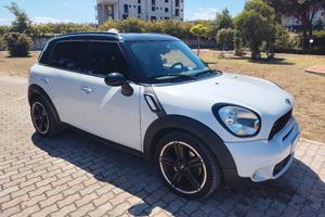 mini countryman cooper s benzina 