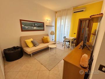 Monolocale navigli iulm