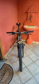 Mountain bike