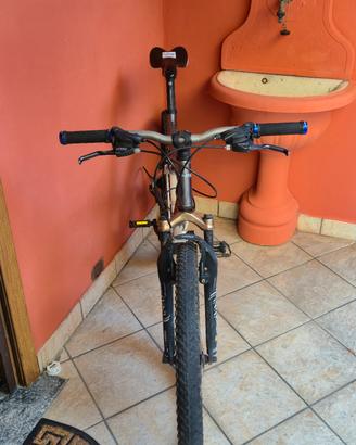 Mountain bike