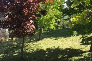 Tipica casa di montagna