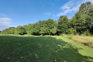 Terreno Agricolo/Residenziale