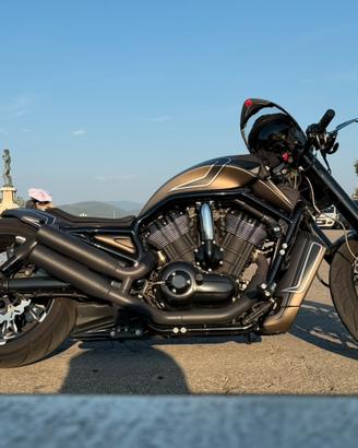 Harley 1250 muscle personalizzata