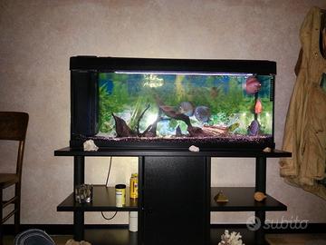acquario 200 litri 